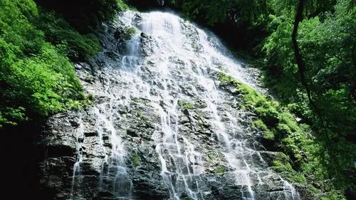 高精度智慧
